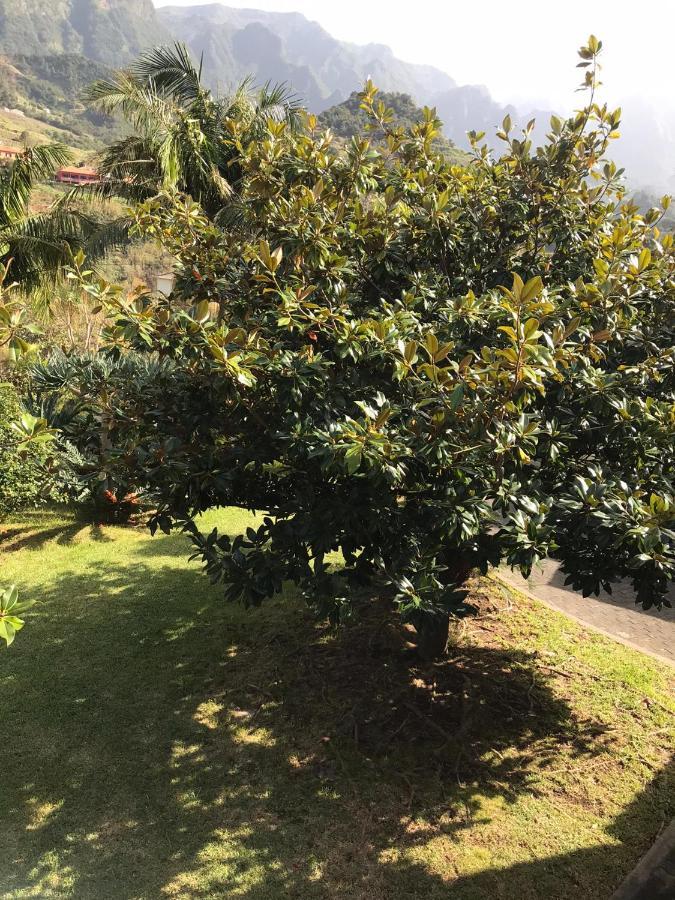 Palheirinho Da Camelia Villa São Vicente Buitenkant foto